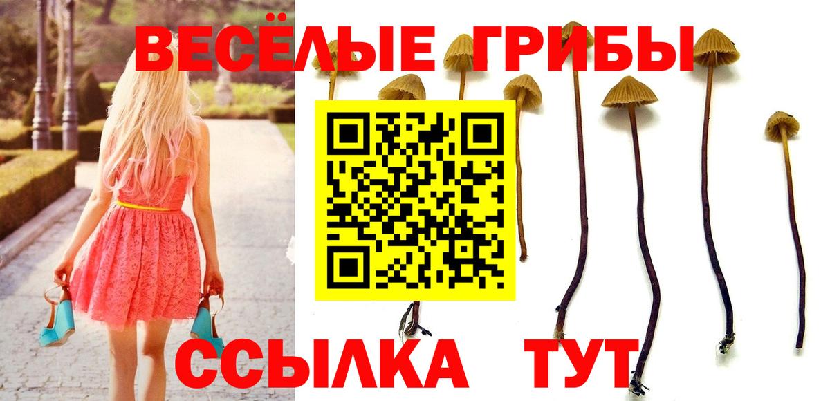 Тейково  Псилоцибиновые грибы Psilocybine cubensis  Вход с VPN  Галлюциногенные грибы мицелий 